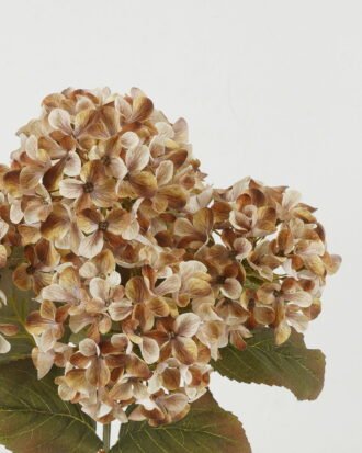 Artificial Flower 28*28*41cm Flower *5 bush GS-15422065-K2 Flowers Bush YeahFlower is one of Chinese leading OEM manufacturers and exporters , supplying the silk flowers, wholesale artificial trees