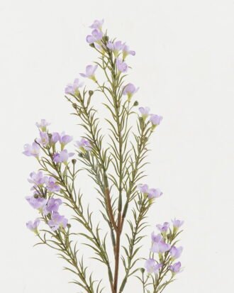 Artificial Flower 16*16*70cm Flowers *8 single stem GS-26222049-Z1 Single Flowers YeahFlower is one of Chinese leading OEM manufacturers and exporters , supplying the silk flowers, wholesale artificial trees Artificial Flower 16*16*70cm Flowers *8 single stem GS-26222049-Z1 Single Flowers YeahFlower is one of Chinese leading OEM manufacturers and exporters , supplying the silk flowers, wholesale artificial trees