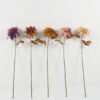 Artificial Flower  GS-14522046-Y1 Single Flowers YeahFlower is one of Chinese leading OEM manufacturers and exporters , supplying the silk flowers, wholesale artificial trees