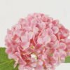 Artificial Flower 24*24*47cm Hydrangea *10 single stem GS-15422068 Single Flowers YeahFlower is one of Chinese leading OEM manufacturers and exporters , supplying the silk flowers, wholesale artificial trees
