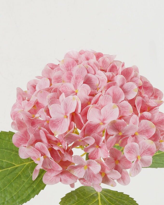Artificial Flower 24*24*47cm Hydrangea *10 single stem GS-15422068 Single Flowers YeahFlower is one of Chinese leading OEM manufacturers and exporters , supplying the silk flowers, wholesale artificial trees