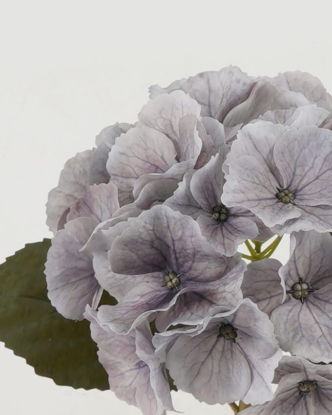 Artificial Flower Hydrangea single stem GS-68622002-H1_3 Artificial Flower 16*16*35cm Hydrangea single stem GS-68622002-H1 Single Flowers YeahFlower is one of Chinese leading OEM manufacturers and exporters , supplying the silk flowers, wholesale artificial trees