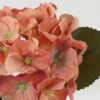 Artificial Flower Hydrangea single stem GS-68622002-O1_3 Artificial Flower 16*16*35cm Hydrangea single stem GS-68622002-O1 Single Flowers YeahFlower is one of Chinese leading OEM manufacturers and exporters , supplying the silk flowers, wholesale artificial trees