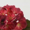 Artificial Flower 16*16*35cm Hydrangea single stem GS-68622002-R1 Single Flowers YeahFlower is one of Chinese leading OEM manufacturers and exporters , supplying the silk flowers, wholesale artificial trees