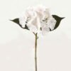 Artificial Flower Hydrangea single stem GS-68622002-W1 Artificial Flower 16*16*35cm Hydrangea single stem GS-68622002-W1 Single Flowers YeahFlower is one of Chinese leading OEM manufacturers and exporters , supplying the silk flowers, wholesale artificial trees