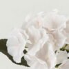 Artificial Flower Hydrangea single stem GS-68622002-W1_3 Artificial Flower 16*16*35cm Hydrangea single stem GS-68622002-W1 Single Flowers YeahFlower is one of Chinese leading OEM manufacturers and exporters , supplying the silk flowers, wholesale artificial trees