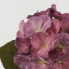 Artificial Flower 16*16*35cm Hydrangea single stem GS-68622002-Z1 Single Flowers YeahFlower is one of Chinese leading OEM manufacturers and exporters , supplying the silk flowers, wholesale artificial trees