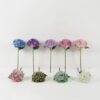 Artificial Flower Hydrangea single stem GS-68622003_1 Artificial Flower 18*18*45cm Hydrangea single stem GS-68622003 Single Flowers 3,000+ sqm showroom with thousands of artificial flowers, plants & trees ready for global sourcing.