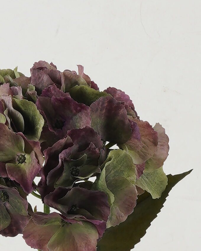 Artificial Flower Hydrangea single stem GS-68622004-G1_3 Artificial Flower 18*18*45cm Hydrangea single stem GS-68622004-G1 Single Flowers YeahFlower is one of Chinese leading OEM manufacturers and exporters , supplying the silk flowers, wholesale artificial trees