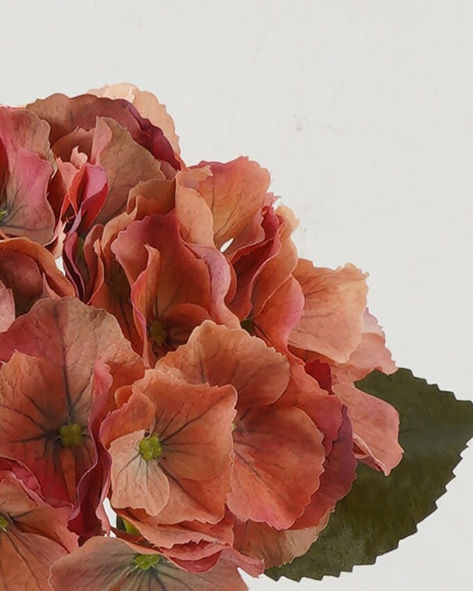 Artificial Flower Hydrangea single stem GS-68622004-O1_3 Artificial Flower 18*18*45cm Hydrangea single stem GS-68622004-O1 Single Flowers YeahFlower is one of Chinese leading OEM manufacturers and exporters , supplying the silk flowers, wholesale artificial trees