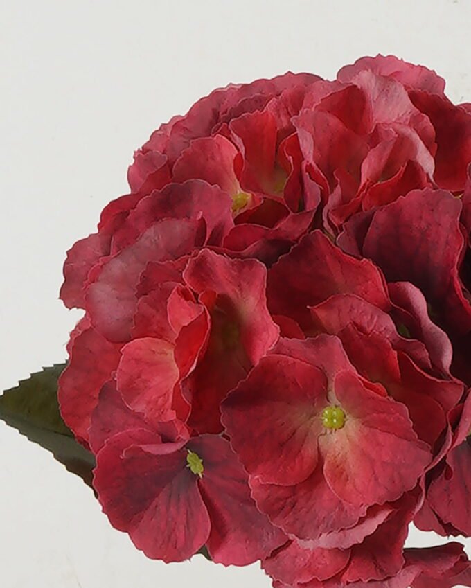 Artificial Flower Hydrangea single stem GS-68622004-R1_3 Artificial Flower 18*18*45cm Hydrangea single stem GS-68622004-R1 Single Flowers YeahFlower is one of Chinese leading OEM manufacturers and exporters , supplying the silk flowers, wholesale artificial trees