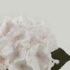 Artificial Flower Hydrangea single stem GS-68622004-W1_3 Artificial Flower 18*18*45cm Hydrangea single stem GS-68622004-W1 Single Flowers YeahFlower is one of Chinese leading OEM manufacturers and exporters , supplying the silk flowers, wholesale artificial trees