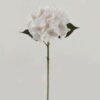 Artificial Flower Hydrangea single stem GS-68622004-W1_6 Artificial Flower 18*18*45cm Hydrangea single stem GS-68622004-W1 Single Flowers YeahFlower is one of Chinese leading OEM manufacturers and exporters , supplying the silk flowers, wholesale artificial trees