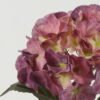 Artificial Flower Hydrangea single stem GS-68622005-Z1_3 Artificial Flower 20*20*50cm Hydrangea single stem GS-68622005-Z1 Single Flowers YeahFlower is one of Chinese leading OEM manufacturers and exporters , supplying the silk flowers, wholesale artificial trees