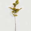 Artificial Flower 24*24*82cm Leaf single stem GS-46322020-G1 Single Flowers YeahFlower is one of Chinese leading OEM manufacturers and exporters , supplying the silk flowers, wholesale artificial trees