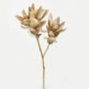 Artificial Flower Nymphaea single stem GS-10622010-W1_1 Artificial Flower 34*34*71cm Nymphaea single stem GS-10622010-W1 Single Flowers YeahFlower is one of Chinese leading OEM manufacturers and exporters , supplying the silk flowers, wholesale artificial trees
