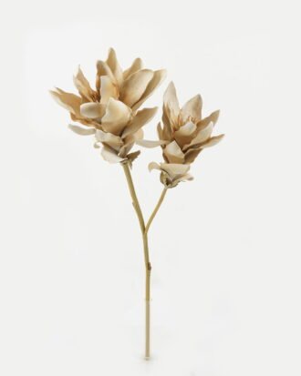 Artificial Flower 34*34*71cm Nymphaea single stem GS-10622010-W1 Single Flowers YeahFlower is one of Chinese leading OEM manufacturers and exporters , supplying the silk flowers, wholesale artificial trees Artificial Flower 34*34*71cm Nymphaea single stem GS-10622010-W1 Single Flowers YeahFlower is one of Chinese leading OEM manufacturers and exporters , supplying the silk flowers, wholesale artificial trees