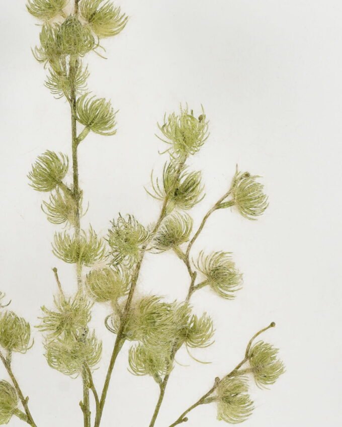 Artificial Flower 25*25*100cm Pine needle single stem GS-15422070 Single Flowers YeahFlower is one of Chinese leading OEM manufacturers and exporters , supplying the silk flowers, wholesale artificial trees