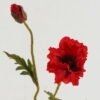 Artificial Flower 18*18*71cm Poppy *2 single stem GS-46322016DP-R1 Single Flowers YeahFlower is one of Chinese leading OEM manufacturers and exporters , supplying the silk flowers, wholesale artificial trees