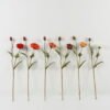 Artificial Flower Poppy 2 single stem GS-46322016_1 Artificial Flower 18*18*71cm Poppy *2 single stem GS-46322016 Single Flowers YeahFlower is one of Chinese leading OEM manufacturers and exporters , supplying the silk flowers, wholesale artificial trees