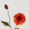 Artificial Flower Poppy 2 single stem GS-46322016_2 Artificial Flower 18*18*71cm Poppy *2 single stem GS-46322016 Single Flowers YeahFlower is one of Chinese leading OEM manufacturers and exporters , supplying the silk flowers, wholesale artificial trees