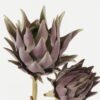 Artificial Flower 22*22*65cm Protea *2 single stem GS-10622006-Z1 Single Flowers YeahFlower is one of Chinese leading OEM manufacturers and exporters , supplying the silk flowers, wholesale artificial trees
