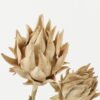 Artificial Flower 22*22*65cm Protea *2 single stem GS-10622006 Single Flowers YeahFlower is one of Chinese leading OEM manufacturers and exporters , supplying the silk flowers, wholesale artificial trees