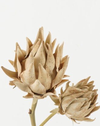 Artificial Flower 22*22*65cm Protea *2 single stem GS-10622006 Single Flowers YeahFlower is one of Chinese leading OEM manufacturers and exporters , supplying the silk flowers, wholesale artificial trees Artificial Flower 22*22*65cm Protea *2 single stem GS-10622006 Single Flowers YeahFlower is one of Chinese leading OEM manufacturers and exporters , supplying the silk flowers, wholesale artificial trees