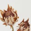Artificial Flower 20*20*64cm Protea *2 single stem GS-10622007-O1 Single Flowers YeahFlower is one of Chinese leading OEM manufacturers and exporters , supplying the silk flowers, wholesale artificial trees