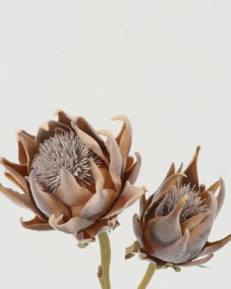 Artificial Flower 20*20*64cm Protea *2 single stem GS-10622007 Single Flowers YeahFlower is one of Chinese leading OEM manufacturers and exporters , supplying the silk flowers, wholesale artificial trees Artificial Flower 20*20*64cm Protea *2 single stem GS-10622007 Single Flowers YeahFlower is one of Chinese leading OEM manufacturers and exporters , supplying the silk flowers, wholesale artificial trees