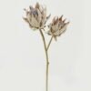 Artificial Flower Protea 2 single stem GS-10622007_5 Artificial Flower 20*20*64cm Protea *2 single stem GS-10622007 Single Flowers YeahFlower is one of Chinese leading OEM manufacturers and exporters , supplying the silk flowers, wholesale artificial trees