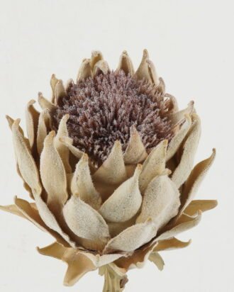 Artificial Flower 19*19*60cm Protea single stem GS-10622008 Single Flowers YeahFlower is one of Chinese leading OEM manufacturers and exporters , supplying the silk flowers, wholesale artificial trees Artificial Flower 19*19*60cm Protea single stem GS-10622008 Single Flowers YeahFlower is one of Chinese leading OEM manufacturers and exporters , supplying the silk flowers, wholesale artificial trees