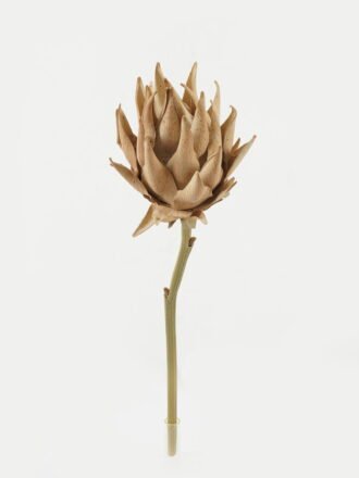 Artificial Flower 18*18*53cmProtea single stem GS-10622009 Single Flowers 3,000+ sqm showroom with thousands of artificial flowers, plants & trees ready for global sourcing.