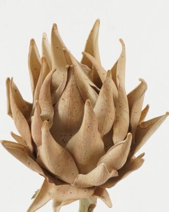 Artificial Flower 18*18*53cmProtea single stem GS-10622009-K1 Single Flowers YeahFlower is one of Chinese leading OEM manufacturers and exporters , supplying the silk flowers, wholesale artificial trees Artificial Flower 18*18*53cmProtea single stem GS-10622009-K1 Single Flowers YeahFlower is one of Chinese leading OEM manufacturers and exporters , supplying the silk flowers, wholesale artificial trees