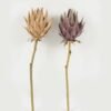 Artificial Flower 18*18*53cmProtea single stem GS-10622009 Single Flowers YeahFlower is one of Chinese leading OEM manufacturers and exporters , supplying the silk flowers, wholesale artificial trees