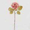 Artificial Flower 16*16*50cm Rose single stem GS-46322012 Single Flowers YeahFlower is one of Chinese leading OEM manufacturers and exporters , supplying the silk flowers, wholesale artificial trees