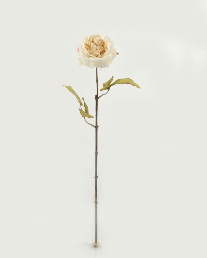 Artificial Flower Rose single stem GS-46322019DP-W1_1 Artificial Flower 13*13*60cm Rose single stem GS-46322019DP-W1 Single Flowers YeahFlower is one of Chinese leading OEM manufacturers and exporters , supplying the silk flowers, wholesale artificial trees