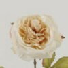 Artificial Flower Rose single stem GS-46322019DP-W1_2 Artificial Flower 13*13*60cm Rose single stem GS-46322019DP-W1 Single Flowers YeahFlower is one of Chinese leading OEM manufacturers and exporters , supplying the silk flowers, wholesale artificial trees