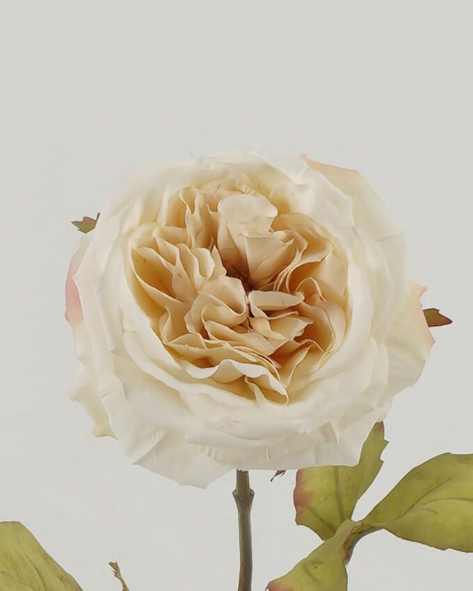 Artificial Flower Rose single stem GS-46322019DP-W1_2 Artificial Flower 13*13*60cm Rose single stem GS-46322019DP-W1 Single Flowers YeahFlower is one of Chinese leading OEM manufacturers and exporters , supplying the silk flowers, wholesale artificial trees