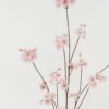 Artificial Flower Sakura single stem GS-53622018-P2_5 Artificial Flower 48*48*126cm Sakura single stem GS-53622018-P2 Single Flowers YeahFlower is one of Chinese leading OEM manufacturers and exporters , supplying the silk flowers, wholesale artificial trees