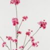 Artificial Flower 48*48*126cm Sakura single stem GS-53622018-R3 Single Flowers YeahFlower is one of Chinese leading OEM manufacturers and exporters , supplying the silk flowers, wholesale artificial trees