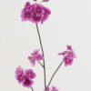 Artificial Flower Sakura single stem GS-53622019-Z2_5 Artificial Flower 26*26*85cm Sakura single stem GS-53622019-Z2 Single Flowers YeahFlower is one of Chinese leading OEM manufacturers and exporters , supplying the silk flowers, wholesale artificial trees