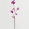 Artificial Flower Sakura single stem GS-53622019-Z2_6 Artificial Flower 26*26*85cm Sakura single stem GS-53622019-Z2 Single Flowers YeahFlower is one of Chinese leading OEM manufacturers and exporters , supplying the silk flowers, wholesale artificial trees