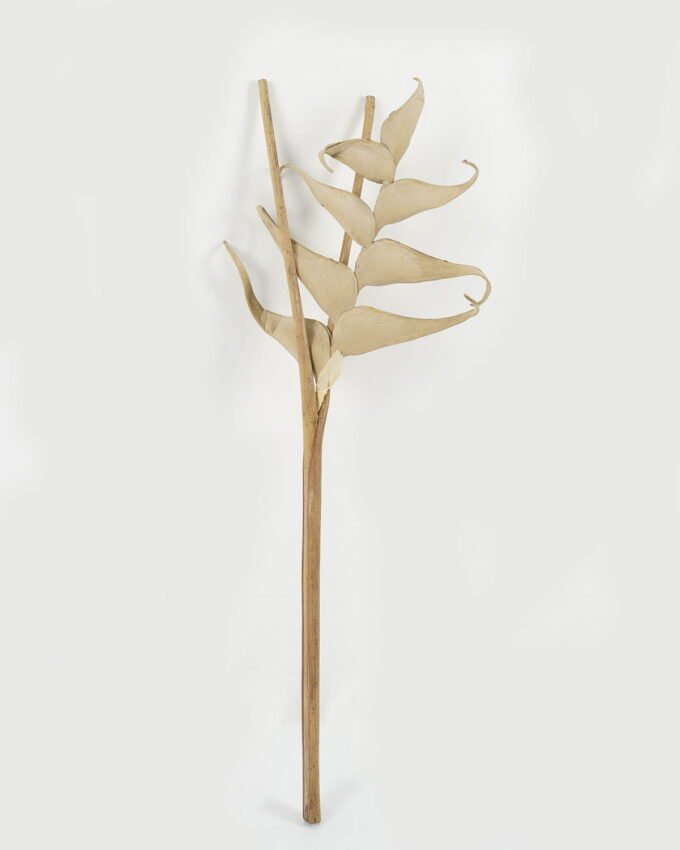 Artificial Flower Strelitzia single stem GS-10622005_3 Artificial Flower 28*92cm Strelitzia single stem GS-10622005 Single Flowers YeahFlower is one of Chinese leading OEM manufacturers and exporters , supplying the silk flowers, wholesale artificial trees