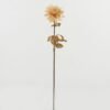 Artificial Flower chrysanthemum single stem Burn the side GS-128J22006_4 Artificial Flower 14*14*74cm chrysanthemum single stem(Burn the side) GS-128J22006 Single Flowers YeahFlower is one of Chinese leading OEM manufacturers and exporters , supplying the silk flowers, wholesale artificial trees
