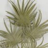 Artificial Plant 33*52cm Fan *5 single stem GS-43222001 Leaves&Sprays&Foliages 3,000+ sqm showroom with thousands of artificial flowers, plants & trees ready for global sourcing.