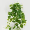 Artificial Plant 30*80cm Foliage *11 hanging GS-29822055 Leaves&Sprays&Foliages YeahFlower is one of Chinese leading OEM manufacturers and exporters , supplying the silk flowers, wholesale artificial trees
