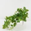 Artificial Plant 30*80cm Foliage *11 hanging GS-29822055 Leaves&Sprays&Foliages YeahFlower is one of Chinese leading OEM manufacturers and exporters , supplying the silk flowers, wholesale artificial trees