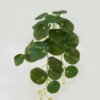 Artificial Plant Foliage 12 hanging GS-29822057_5 Artificial Plant 20*28cm Foliage *12 hanging GS-29822057 Leaves&Sprays&Foliages YeahFlower is one of Chinese leading OEM manufacturers and exporters , supplying the silk flowers, wholesale artificial trees