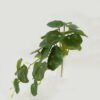 Artificial Plant Foliage 12 hanging GS-29822057_6 Artificial Plant 20*28cm Foliage *12 hanging GS-29822057 Leaves&Sprays&Foliages YeahFlower is one of Chinese leading OEM manufacturers and exporters , supplying the silk flowers, wholesale artificial trees